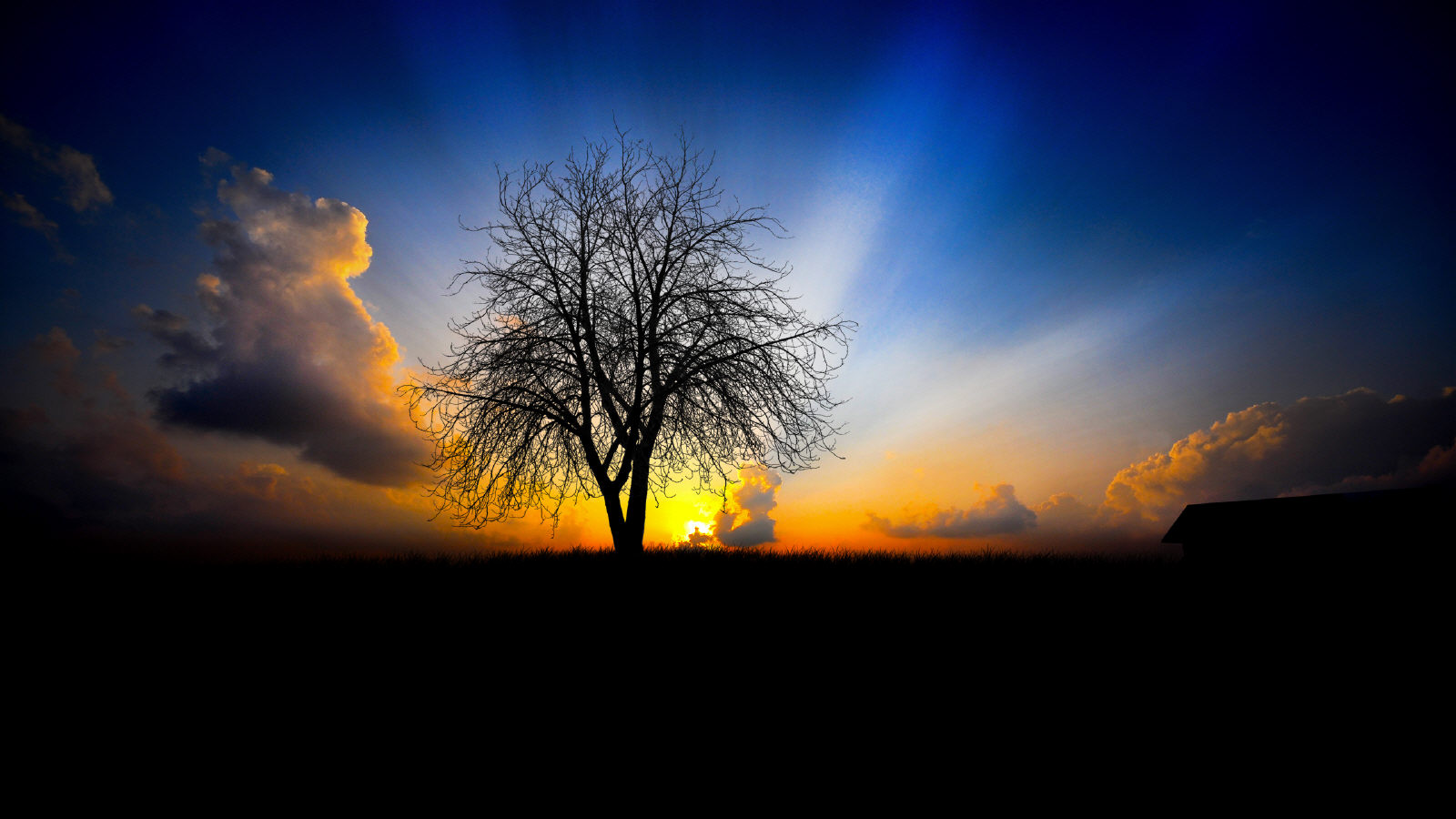 Unique Backgrounds